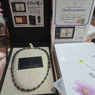 磁石項鍊日本珪素磁石項鍊 黑銀色 現貨 免運 買就送不鏽鋼刮痧棒