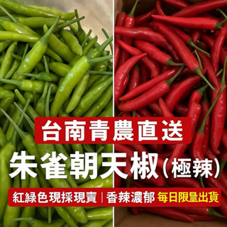 朱雀朝天椒🌶️ (600g一斤、時價)辣度夠 👨‍🌾自產自銷 新鮮辣椒 chili、cabai、Hot Pepper