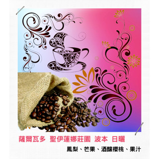 【古哥咖啡烘焙坊】精品咖啡豆｜ 薩爾瓦多 聖伊蓮娜莊園 波本 日曬