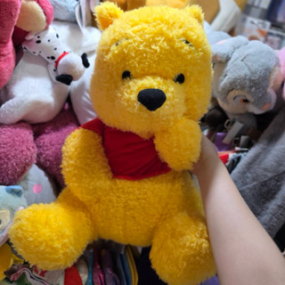 Bunibear. 迪士尼 大維尼娃娃 小熊維尼 迪士尼 維尼