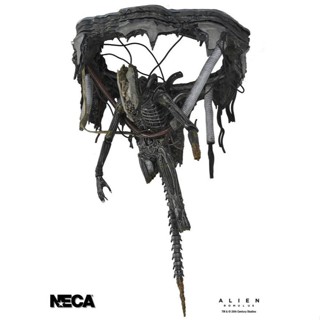 【預購2025年8月】[豪華版] NECA 7吋 異形：羅穆路斯 Xenomorph XX121 實驗室懸吊 可動完成品