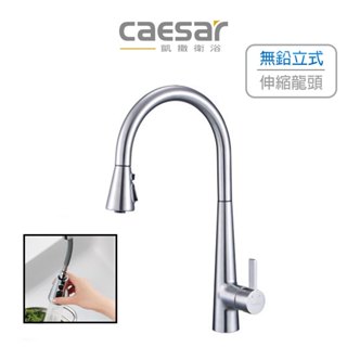 Caesar 凱撒 無鉛立式伸縮廚房龍頭 伸縮龍頭 抽拉式廚房立式龍頭 水龍頭 廚房龍頭 K905CSL (含發票)