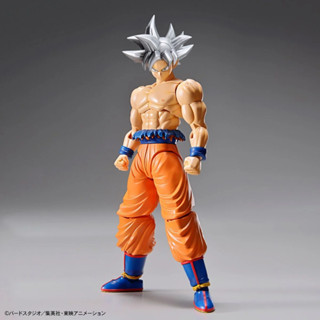 現貨 BANDAI Figure-rise Standard FRS 七龍珠 超 孫悟空 自在極意 組裝模型