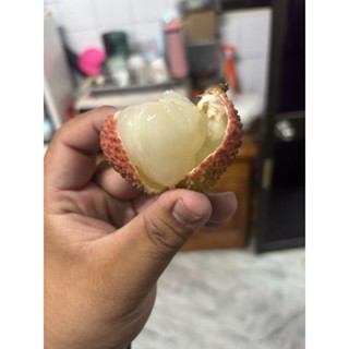 高雄 大樹區玉荷包荔枝 淨重3臺斤
