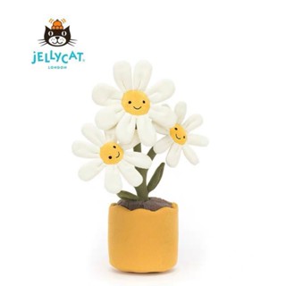 Jellycat 正品｜心花怒放系列小雛菊 趣味鄒菊 盆栽玩偶 白色鄒菊盆栽 趣味植物公仔 太陽花毛絨玩具 禮物