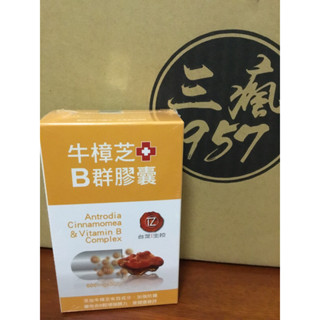 全新效期 牛樟芝B群膠囊(30顆/盒) 素食膠囊