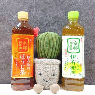 日本 緑茶 伊右衛門 焙じ茶 焙茶 綠茶 抹茶 600ml SUNTORY 日本茶 瓶裝茶 日式 和風 京都 福壽園
