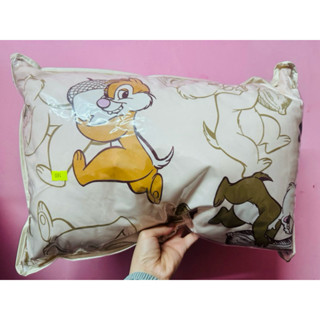 ✨全新✨12H現貨✨Disney 迪士尼 奇奇蒂蒂 抱枕 午睡枕 兒童枕 花栗鼠 枕頭 午休 睡眠 卡通 可愛卡通