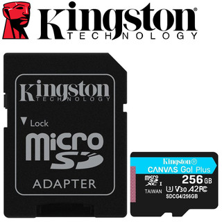 Kingston 金士頓 256GB microSDXC TF U3 V30 A2 256G 記憶卡 SDCG4