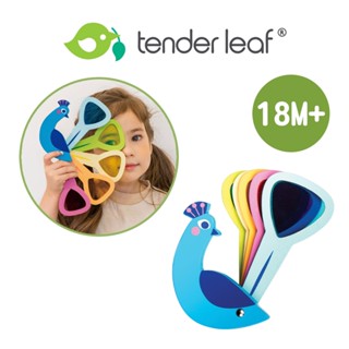 美國【Tender Leaf】孔雀開屏色票卡 木製玩具 兒童玩具 積木玩具 木質玩具 玩具 木頭玩具｜baby888