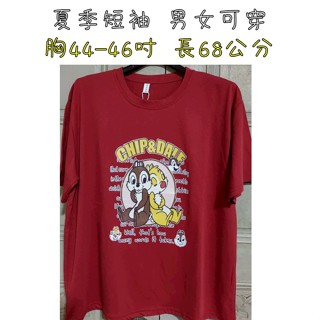 [現貨]胸圍44-46吋 棉布松鼠夏季短袖上衣 短袖T恤 棉布上衣 女短袖上衣 夏季短袖上衣 女上衣 夏天 短袖
