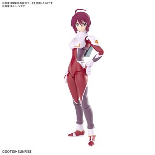 現貨 BANDAI FRS 機動戰士鋼彈SEED DESTINY 露娜瑪莉亞 霍克 組裝模型