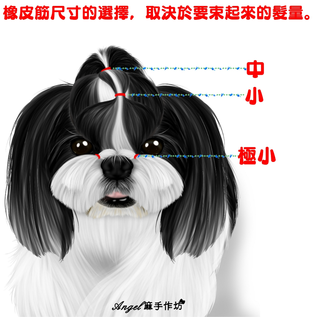【018】三隻西施橡皮筋分裝包50條四種尺寸-大/中/小/極小狗狗專用頂級橡皮筋不咬毛