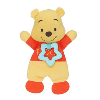 預購👍正版👍美國迪士尼 Winnie the Pooh 小熊維尼 咬咬樂 安撫玩具