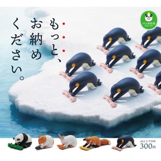 全新 現貨 日本 動物 請收下 請再收下 熊貓之穴 もっと、お納めください 公仔 模型 造型 轉蛋 扭蛋 臺灣公司貨