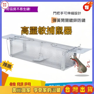 免運🎉 捕鼠神器 滅鼠器 抓老鼠 捉老鼠 捕鼠器 捕鼠夾 一鍋端 雙門踏板老鼠籠 連續捕鼠器 捕鼠籠 老鼠夾