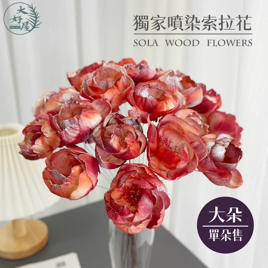 大好屋 台灣現貨 索拉 噴染大朵索拉 手工花 擴香花 康乃馨 索拉花 蘭花 玫瑰 牡丹 多瓣蓪草花 乾燥花 索拉牡丹