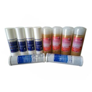 ≡大心淨水≡NSF認證臺製一年份濾心10支裝/除水垢(PP5U+食品級樹脂+CTO)淨水器/活水機/RO逆滲透