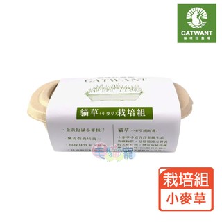 蝦幣回饋【CATWANT貓咪旺農場】小麥草DIY種植組 貓草栽培組 貓草 小麥草 毛貓寵