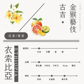 衣索比亞 古吉 金猴藝伎 水洗 生豆 藝伎/藝妓/瑰夏 500克 灰焉國際 精品咖啡 商業合作