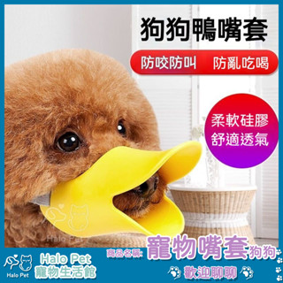 臺灣出貨✨Halo Pet✨寵物嘴套 狗狗鴨嘴套頭 防舔套防狗叫 止吠器 小型犬嘴套 狗鴨嘴 寵物防咬套 封口器 狗口罩