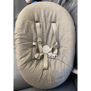 [二手-七成新] Stokke Nomi Newborn Set 成長椅初生嬰兒套件
