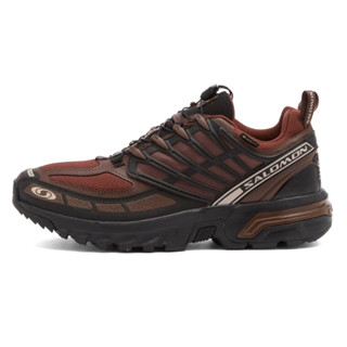 R‘代購 Salomon ACS Pro GTX Gore-Tex 摩卡 咖啡黑 防水 L47736400