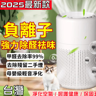 【特價免運】負離子空氣清淨機 高品質空氣濾淨器 除濕清淨機 車用清淨機 寵物清淨機 小型淨化器 家用除異味 除甲醛淨化器