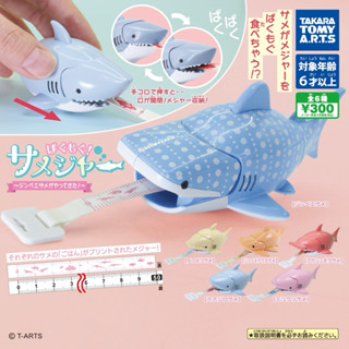 『鯊魚造型捲尺 鯨鯊篇』日本最新 臺灣現貨 非預購 附日本原裝蛋殼蛋紙 鯨鯊 扭蛋