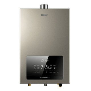【安東企業社】 Haier海爾 強排恆溫熱水器DC6-13L/16L