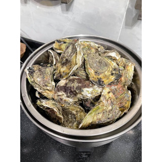澎湖城前鮮蚵煌專賣店