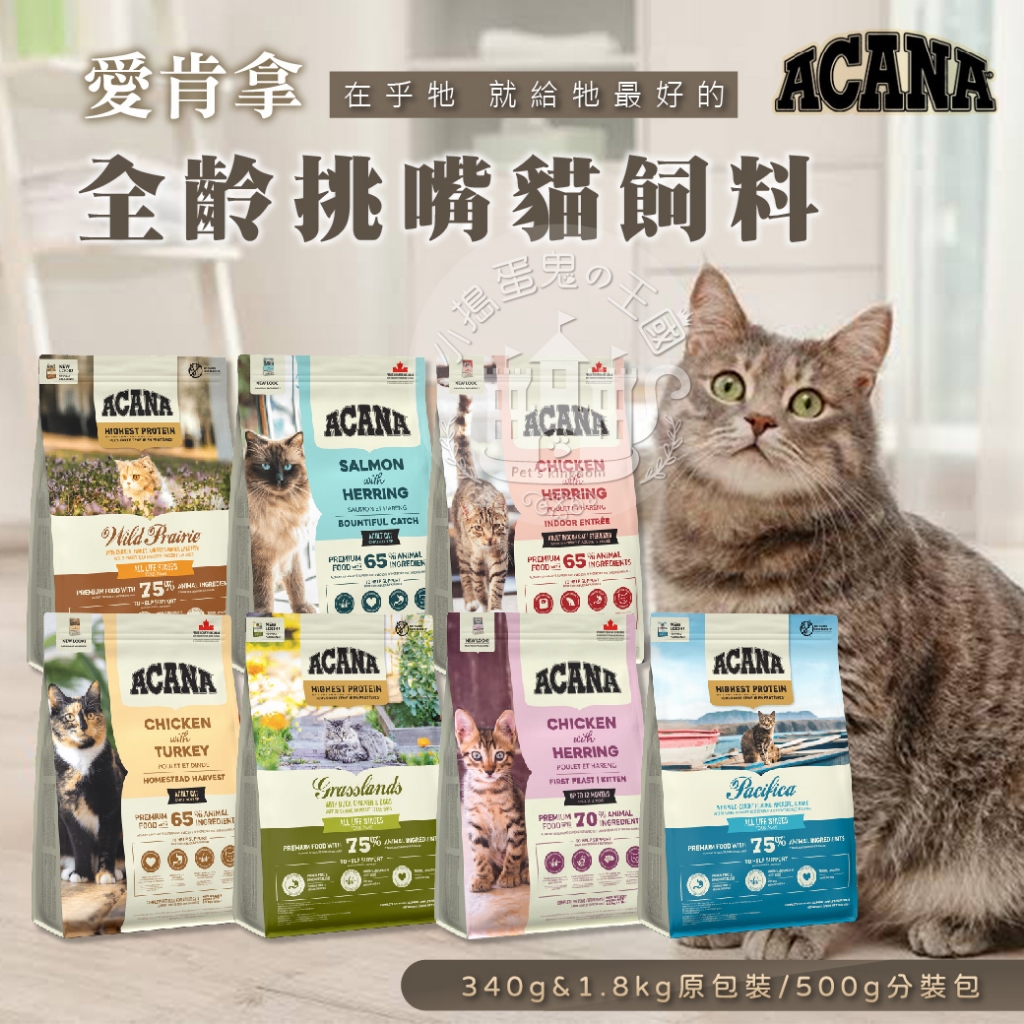 【小搗蛋鬼の王國】Acana 愛肯拿 無穀貓飼料 低GI 公司原裝 無穀糧 貓糧 貓飼料