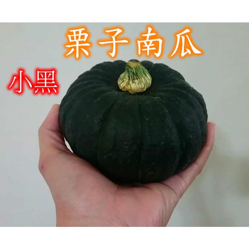 栗子南瓜，小黑栗子南瓜(小果)-以「顆」計價，200-650g都有。巴掌南瓜，西洋南瓜，果肉深黃色，肉質粉Q帶甜。