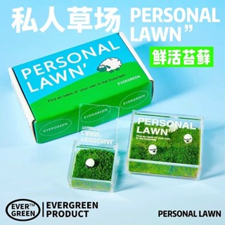 本土出貨💐私人草坪 微景觀苔蘚 室內好養盆栽綠植擺件 室內植物 桌面盆栽 迷你盆栽 辦公室盆栽 創意禮物 禮物 治癒好物