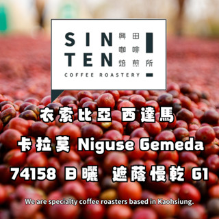 衣索比亞 西達馬 卡拉莫 Niguse Gemeda 日曬 G1【每包500公克】【興田咖啡生豆】精品咖啡生豆
