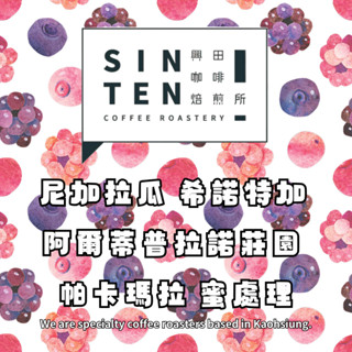 尼加拉瓜 希諾特加 阿爾蒂普拉諾莊園 帕卡瑪拉 蜜處理 *【每包500公克】【興田咖啡生豆】精品咖啡生豆