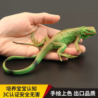 綠鬣蜥。實心模擬模型