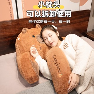 臺灣現貨 獨立內膽 可拆洗 多功能 腰靠 腰枕 學生 卡皮巴拉 靠枕 車椅 辦公椅 電腦椅 靠墊 腰部支撐 腰靠墊
