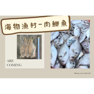 澎湖海鮮直送｜7-11冷凍店到店｜澎湖野生小肉鯽魚