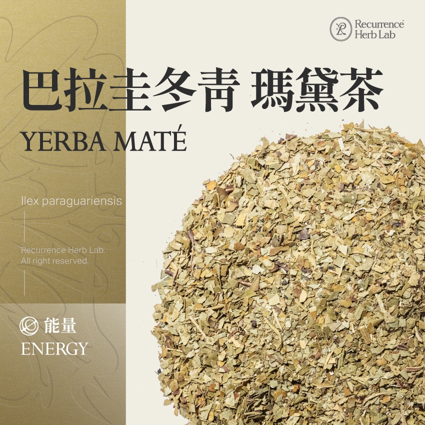 巴拉圭冬青 瑪黛茶 10g｜Yerba Maté Ilex Paraguariensis 乾燥 花 草 茶 原料