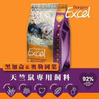 Burgess Excel 英國伯爵 天竺鼠專用飼料(黑加侖&奧勒岡葉)/1.5KG 適用全齡的天竺鼠 天竺鼠乾糧 飼料
