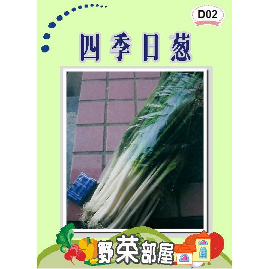 【良田種子~】D02 日本四季日蔥種子1/4磅 (約57000顆) , "三星蔥"~
