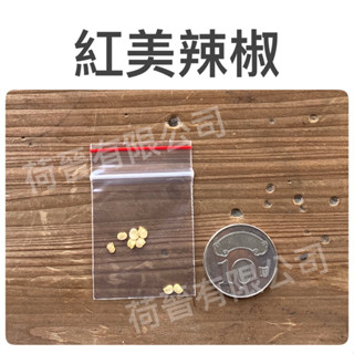 紅美辣椒種子(8粒) 一代交配 剝皮辣椒種子