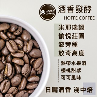 【快速出貨】有氧厭氧 魔法莊園 卡斯提優 (淺中焙)｜半磅 精品咖啡豆 自家烘焙 咖啡豆 手沖咖啡｜HOFFE COFF