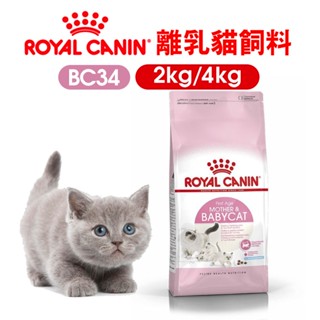 (現貨長效期)免運+蝦幣回饋【ROYALCANIN皇家】BC34 離乳貓與母貓2kg 4kg 離乳貓 幼貓飼料 貓咪飼料