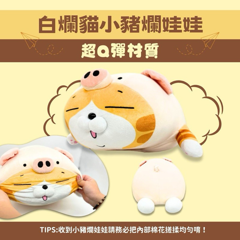 ⭐️現貨⭐️ 全新 絕版 白爛貓 豬小爛 絨毛娃娃 娃娃 大娃娃 抱枕