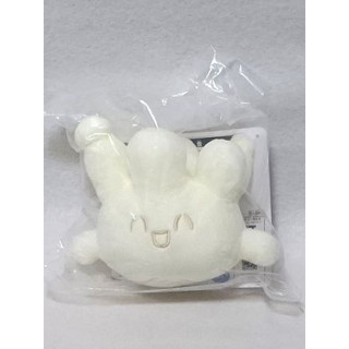[現貨 全新] 一番賞 日版 POKEMON 寶可夢 在PEACE的夜晚 G賞 小仙奶 娃娃