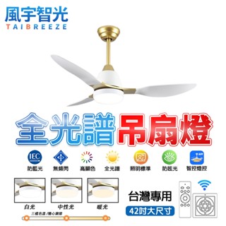 【風宇智光】吊扇燈 風扇燈 全光譜護眼吊扇燈 led風扇燈 變頻遙控吊扇燈 北歐現代簡約吊扇燈 靜音風扇燈