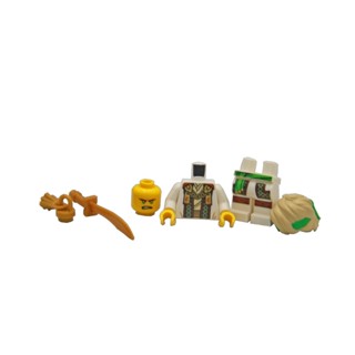 [ 積木柑仔店] LEGO 樂高旋風忍者系列人偶-njo853 Lloyd 勞挨德 綠忍者