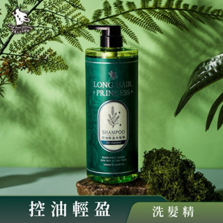 ✨妃蒂絲系列✨ 單瓶洗髮精下單處 保濕修護、控油蓬鬆、護色亮澤、蝦皮優選、蝦幣折抵、快速出貨、現貨供應、長髮公主的秘密